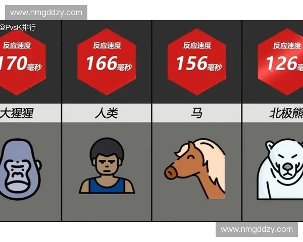 极限反应速度挑战测试助你全面提升大脑敏捷力