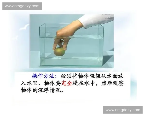 入水角度对水中运动轨迹与力学影响的全面解析与研究